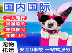 丹霞机场邮寄国际宠物托运 【国